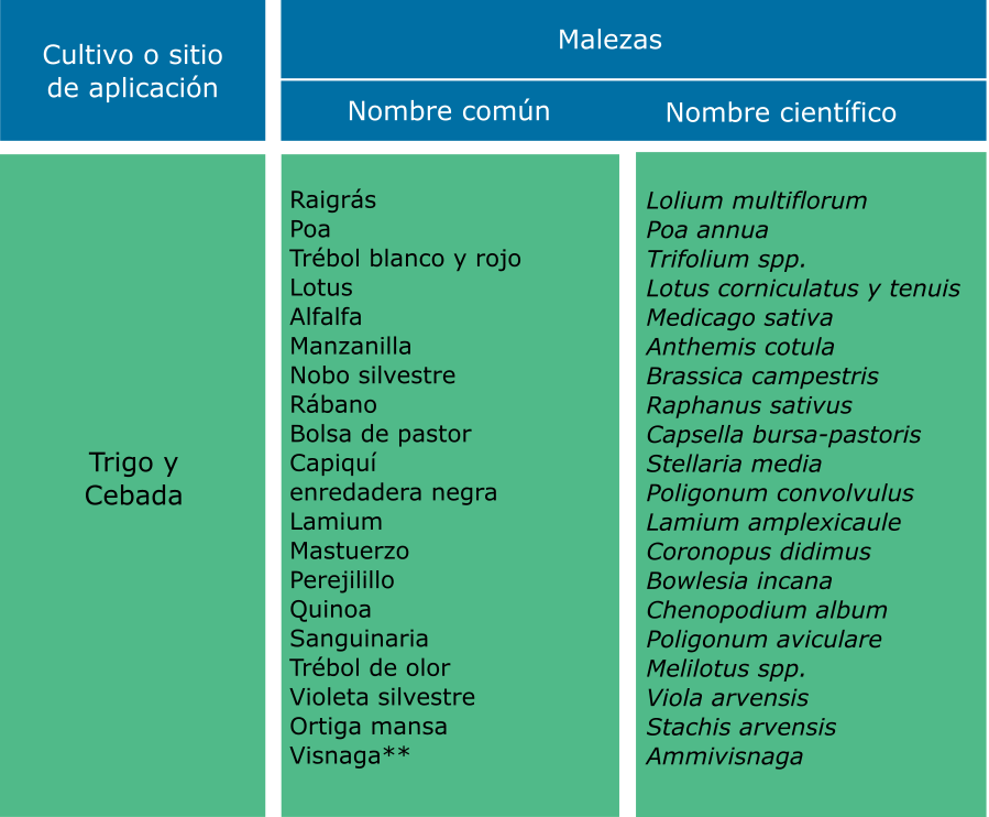 Dragon 2 es